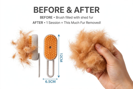¡SACA 1 KILO DE PELO MUERTO EN 2 MINUTOS SIN QUE TU MICHI LLORE! 🐱💨